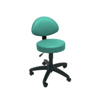 Stool Examination (Sunflower) Back Rest Castor Base Mint