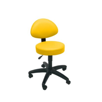 Stool Examination (Sunflower) Back Rest Castor Base Primrose