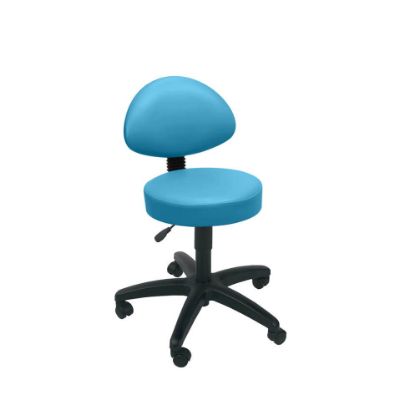 Stool Examination (Sunflower) Back Rest Castor Base Sky Blue