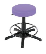 Stool Examination (Sunflower) Foot Ring/Glider Base Lilac