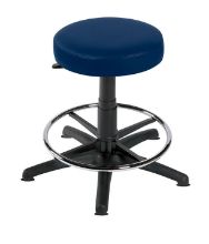 Stool Examination (Sunflower) Foot Ring/Glider Base Navy